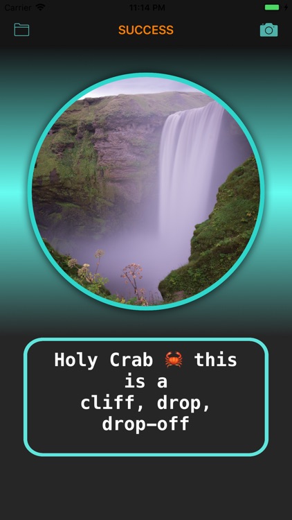 Egyptian Cat - AI EYE