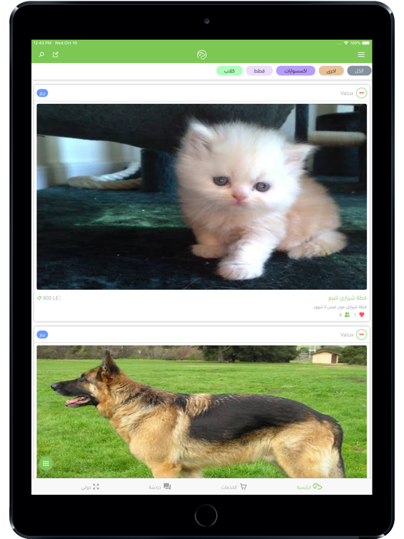 Screenshot #5 pour Egy Pets
