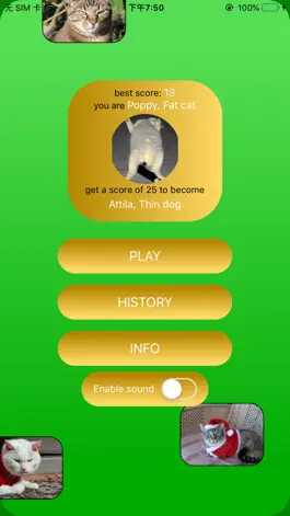 Game screenshot Sort-Master mod apk