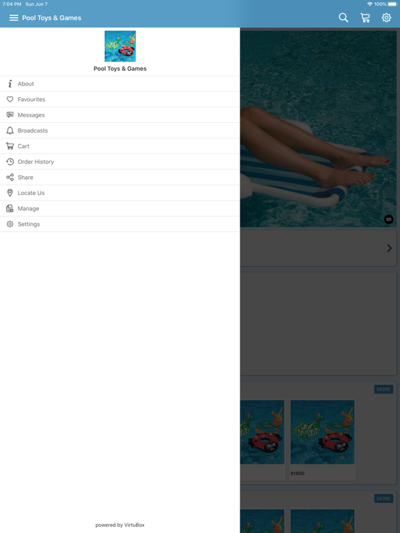 Screenshot #6 pour Pool and Spa Toys