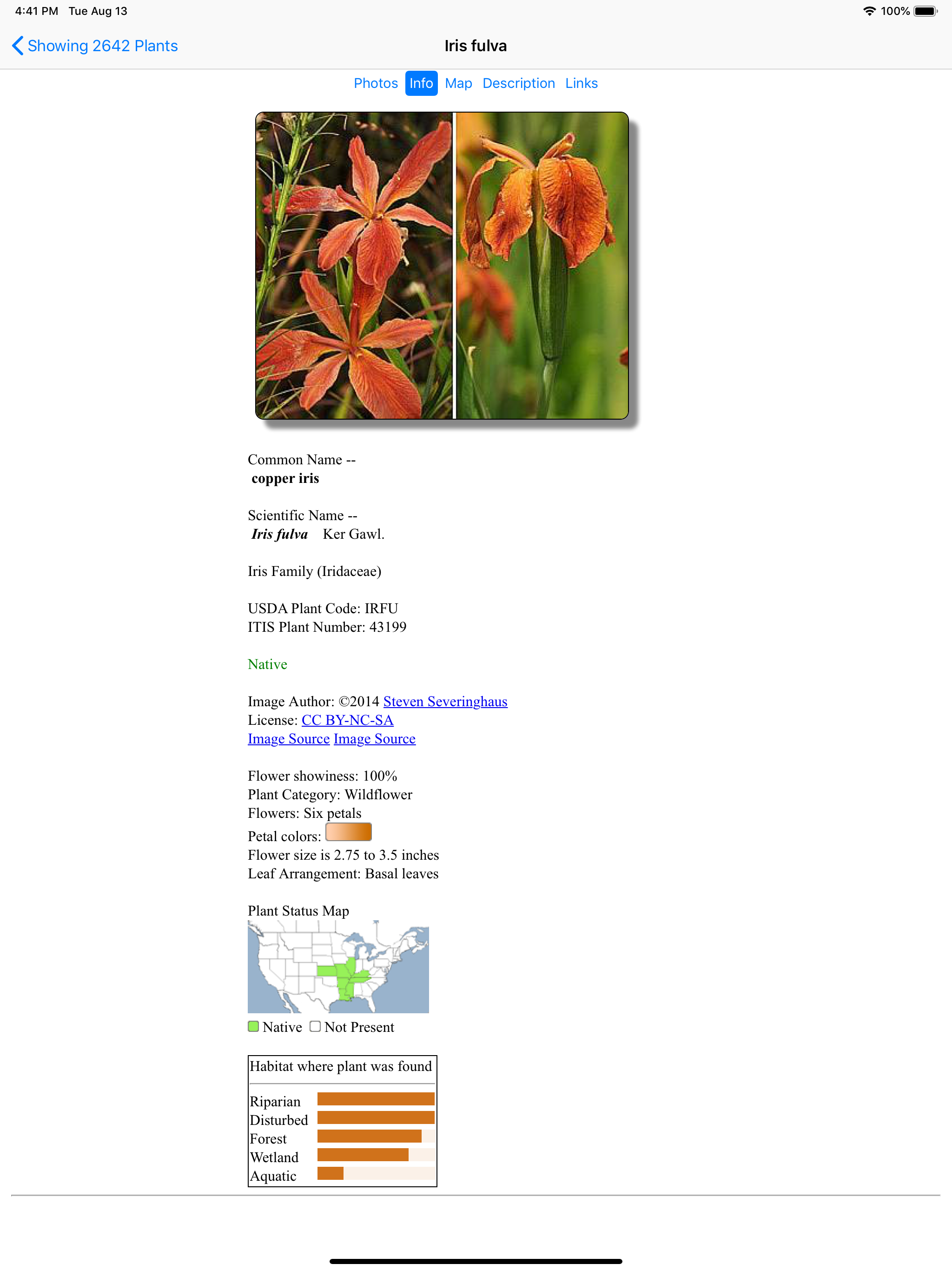 Arkansas Wildflowers