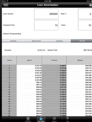 Financial Calculator ipad bilder 3