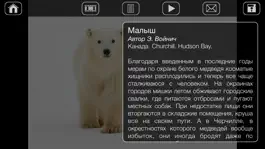 Game screenshot Альбом Белые Медведи HD hack