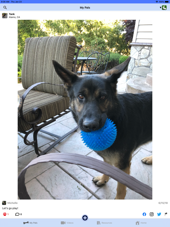 Screenshot #5 pour PetPal