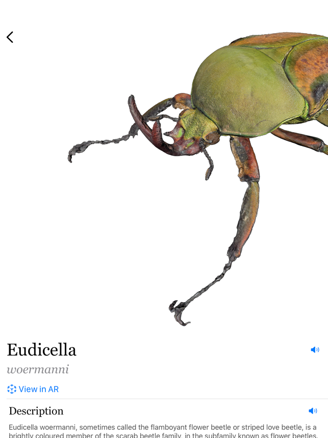 ‎Insecta - Study Insects in AR Screenshot
