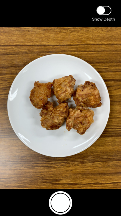 Screenshot #1 pour DepthCalorieCam