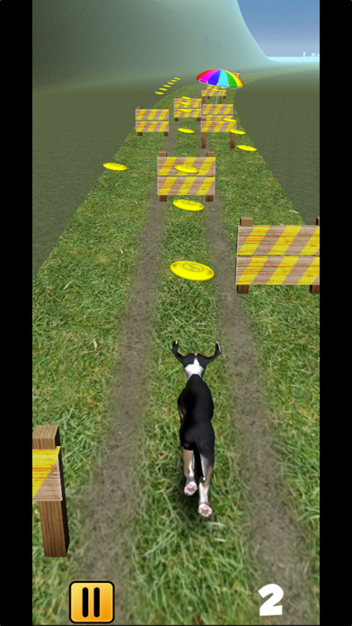 Run'n Fetch screenshot 2