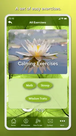 Game screenshot The Calming App mod apk