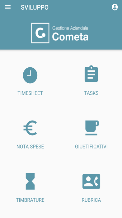 Cometa gestione aziendale Screenshot