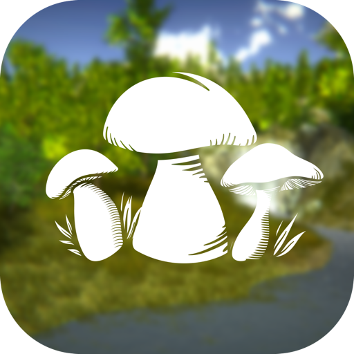 The Mushroom Hunter