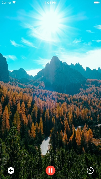 Sleep Sounds: Calm & Relax screenshot-4