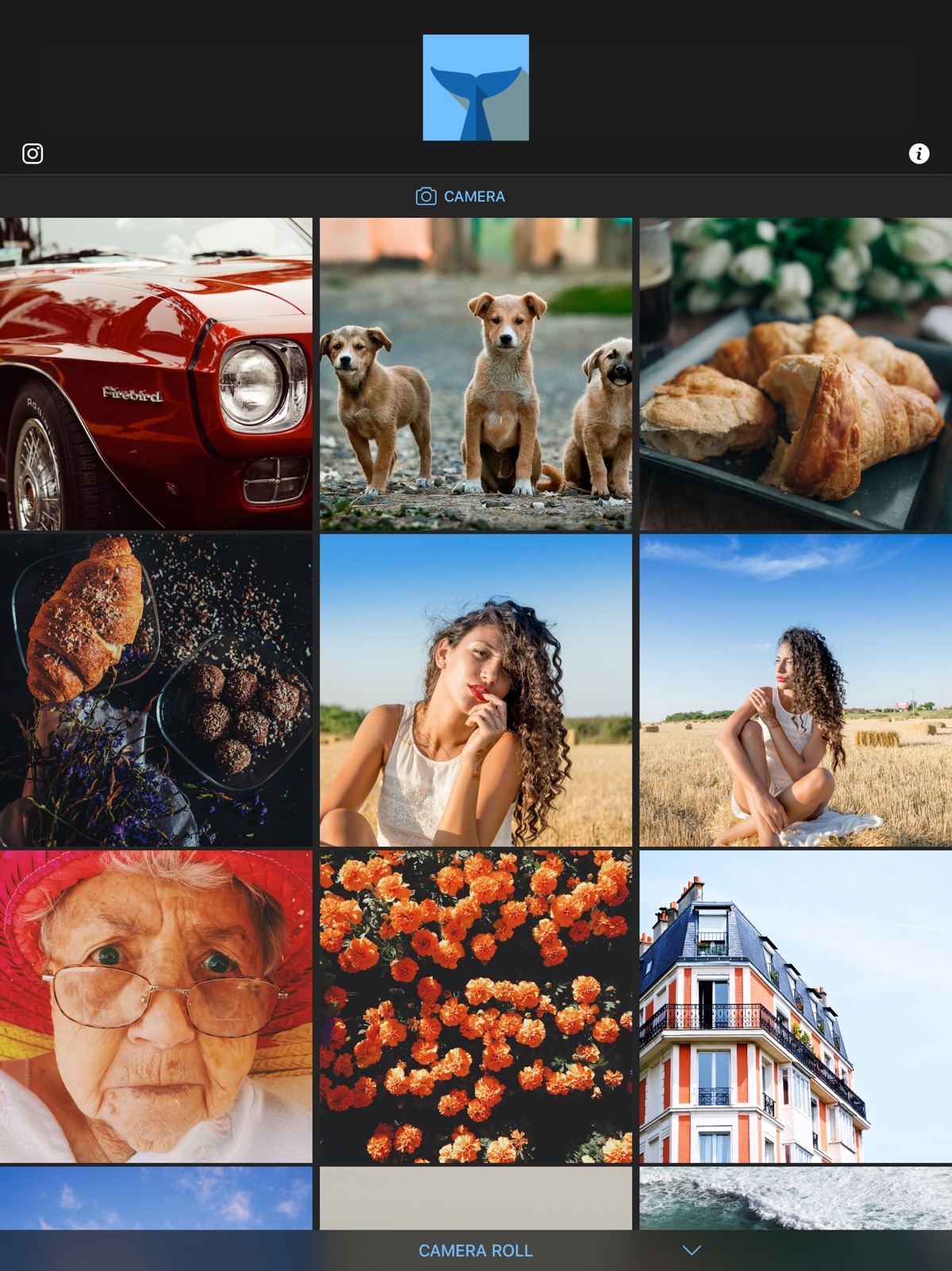 Flipper - Mirror Image Editor ipad screenshot 1
