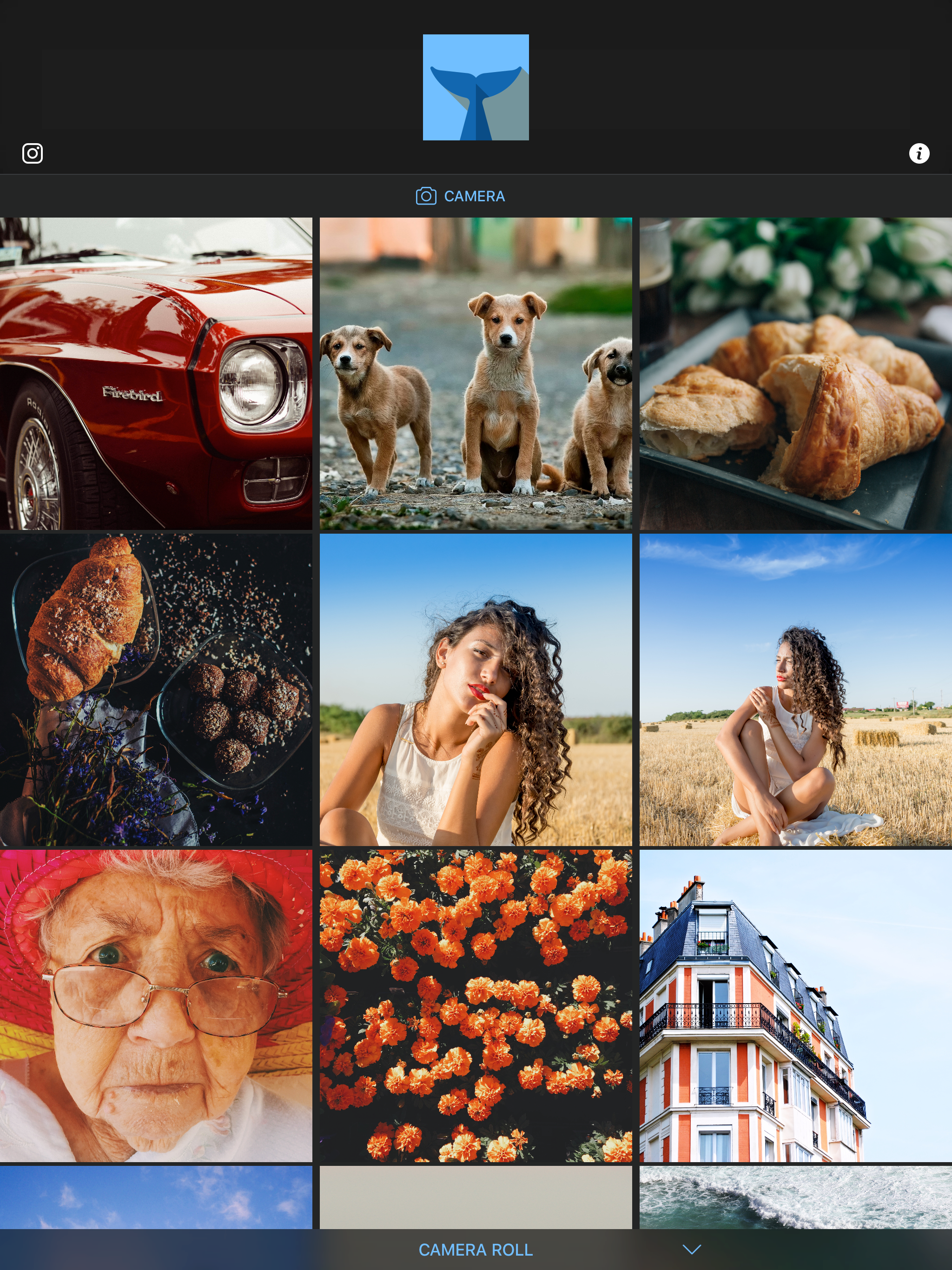 Flipper - Mirror Image Editor