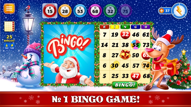 Bingo Christmas Holidays 2024