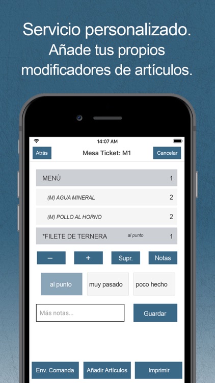 AIG TPV Móvil screenshot-3