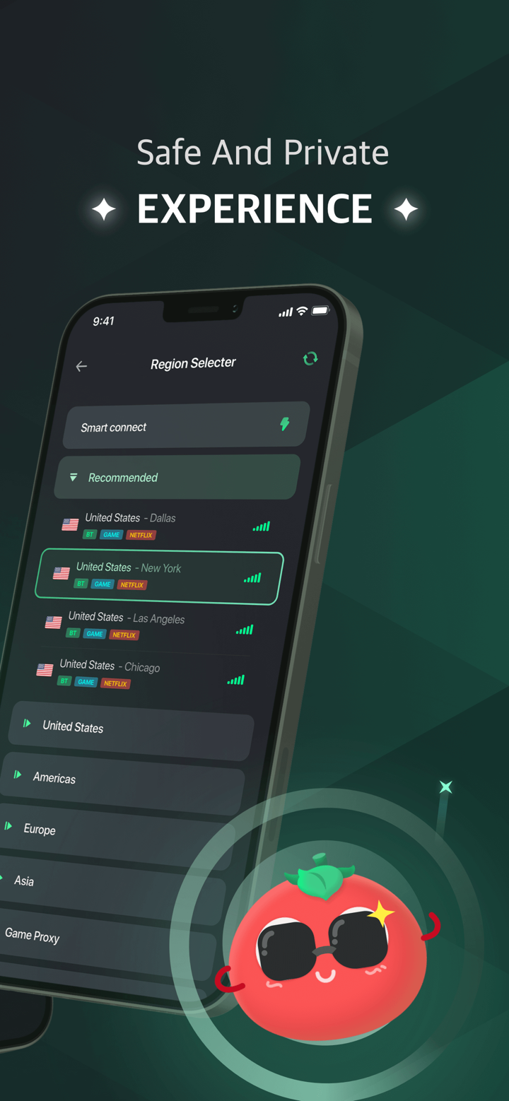 VPN Tomato Pro - Fast & Secure screenshot 2