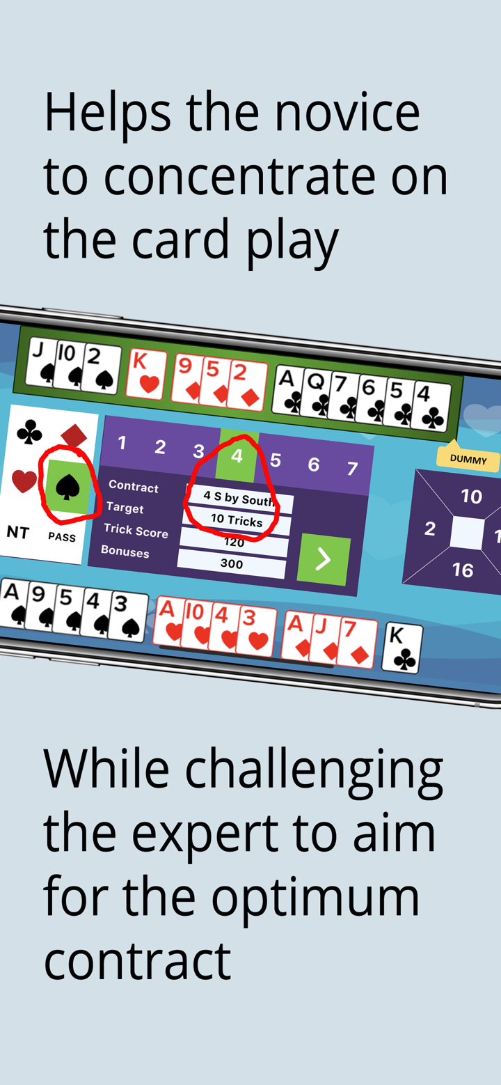 Wiz Bridge + Card Game screenshot 3