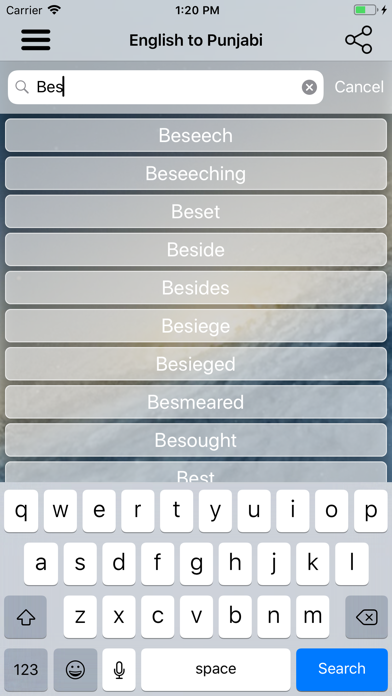 Punjabi Dictionary Translator screenshot 3