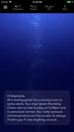 Phyn App screenshot 4