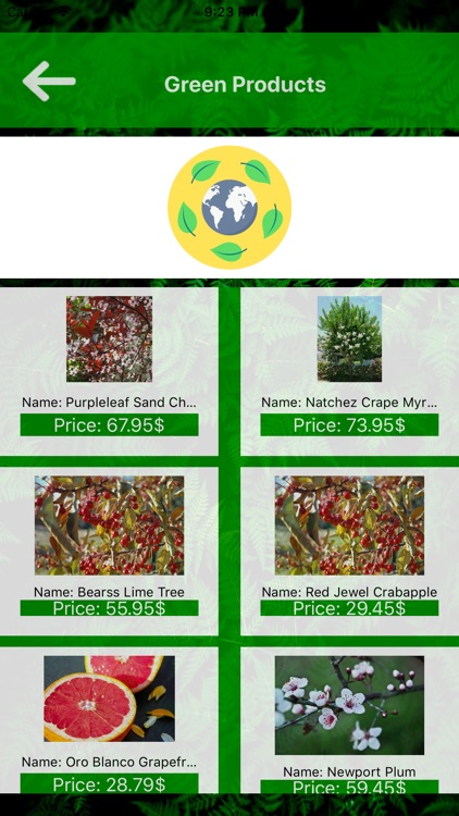 SantiagoGreen screenshot-5