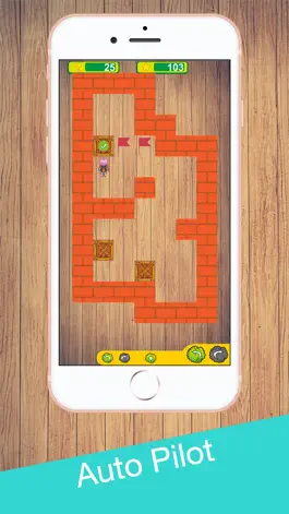 Game screenshot Sokoban King :Space Logic Maze hack