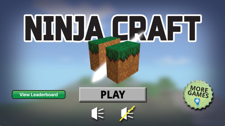 Ninja Craft Game