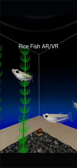 Game screenshot Rice Fish AR/VR mod apk