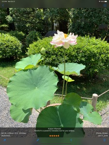 擷圖