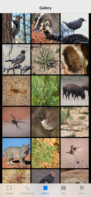 Grand Canyon NP Field Guide(圖3)-速報App