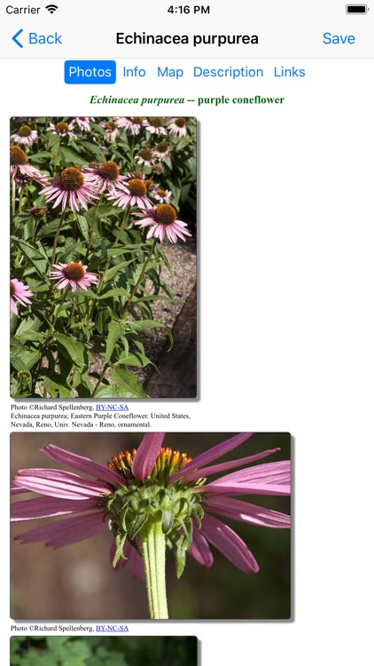 Illinois Wildflowers screenshot-4