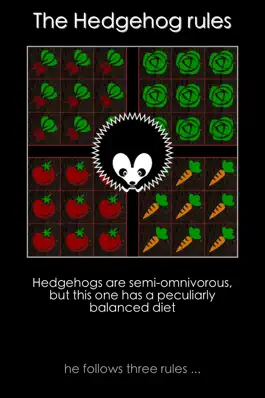 Game screenshot Hedgehog Gardens - Logic Games mod apk