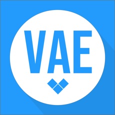 Activities of VAE-puzzle