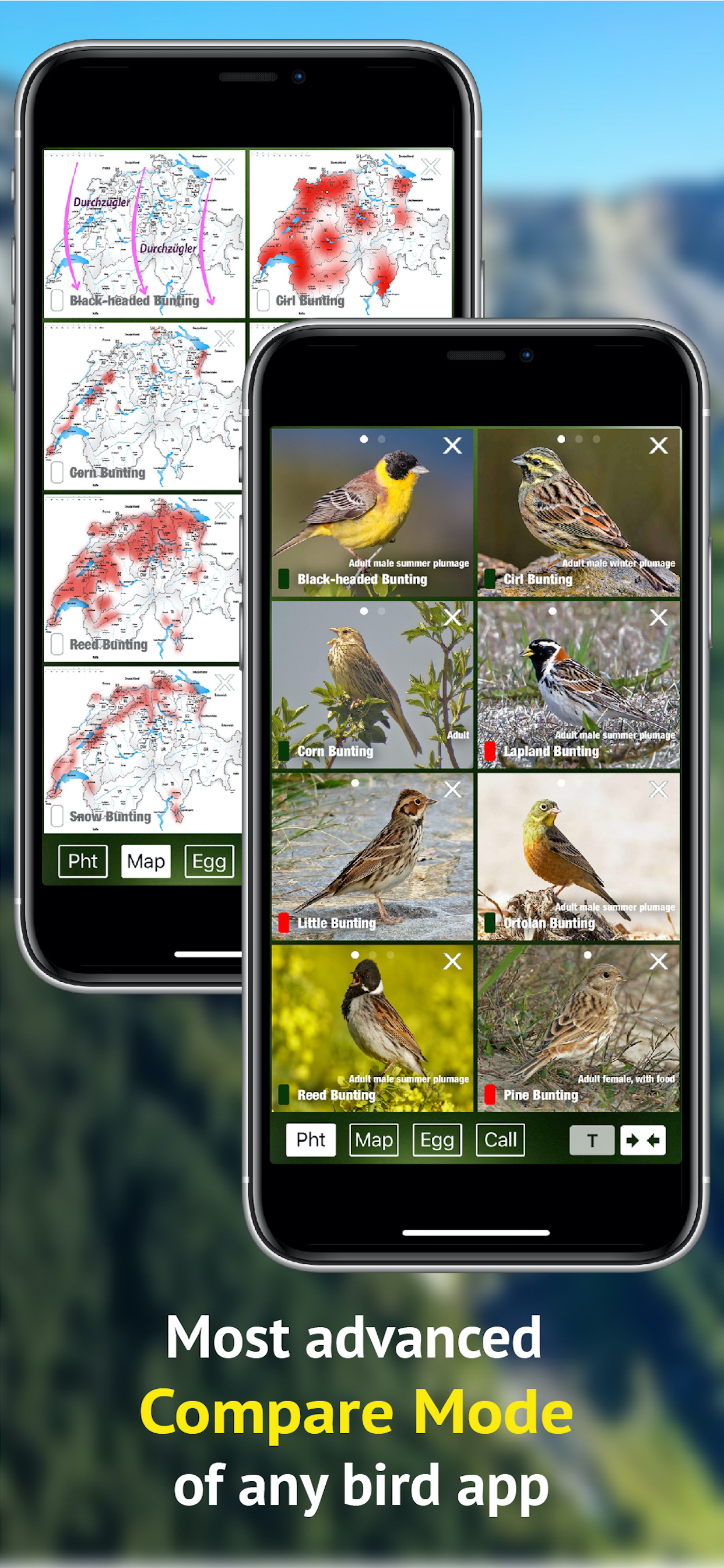 Birds of CH -Photo Guide