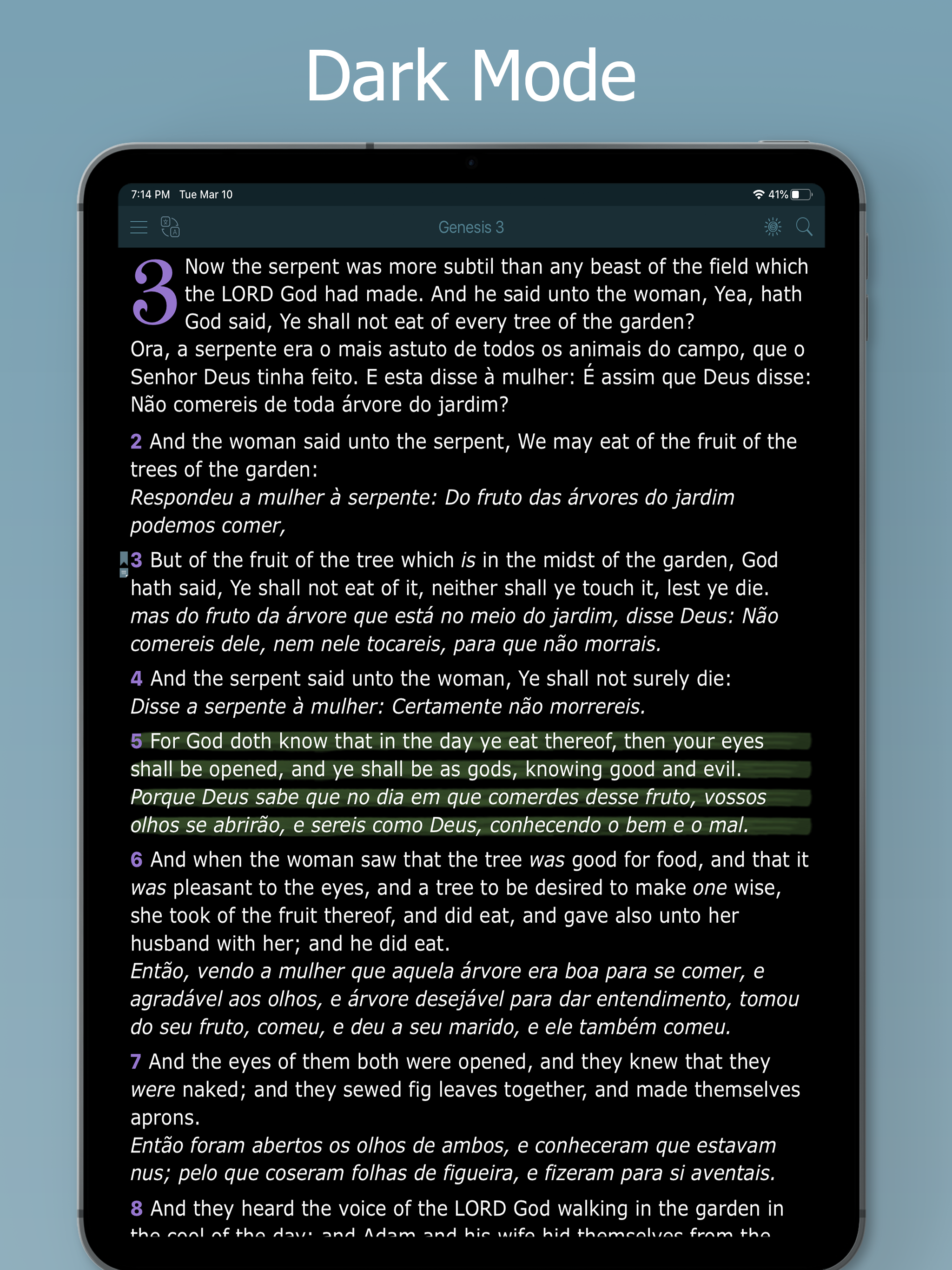 Bilingual Bible Multi Language