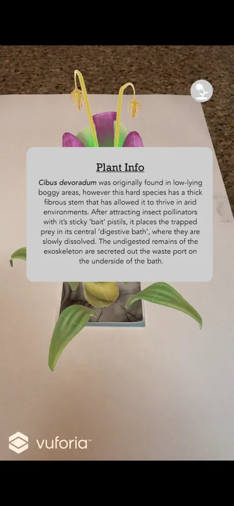 Reforestation