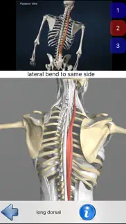 anatomie visuel iphone screenshot 2