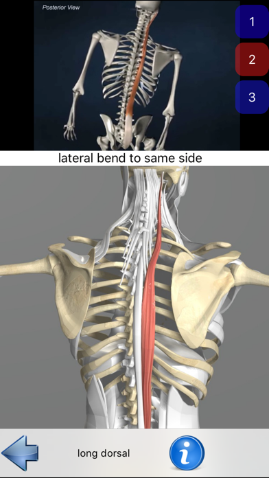 Screenshot #2 pour Anatomie Visuel