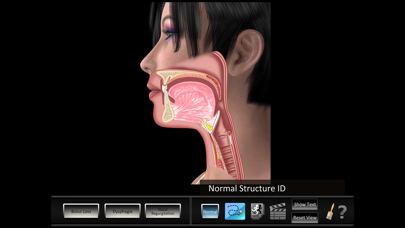 Oral Disorders Screenshot
