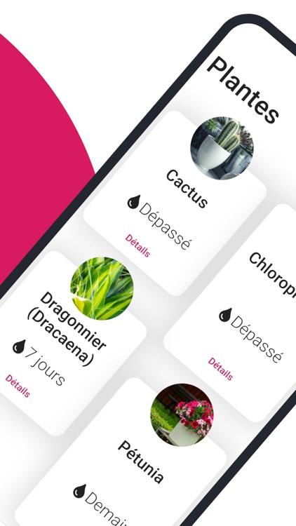 Pluctis - Gestion des plantes