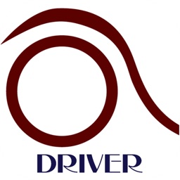 BlueMountains Limousine Driver