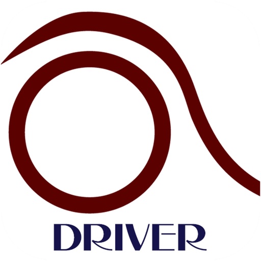 BlueMountains Limousine Driver