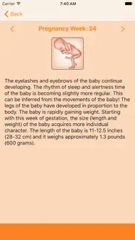 WomanLog Pregnancy Calendar iphone bilder 2