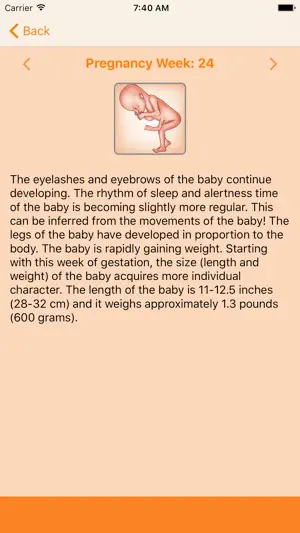 WomanLog Pregnancy Calendar screenshot 3