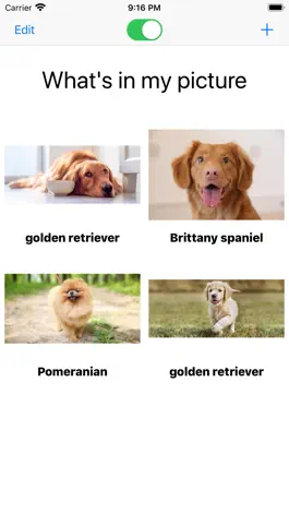 Game screenshot Whats the dog? hack