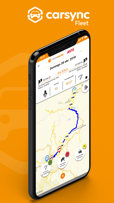 Carsync Fleet Screenshot