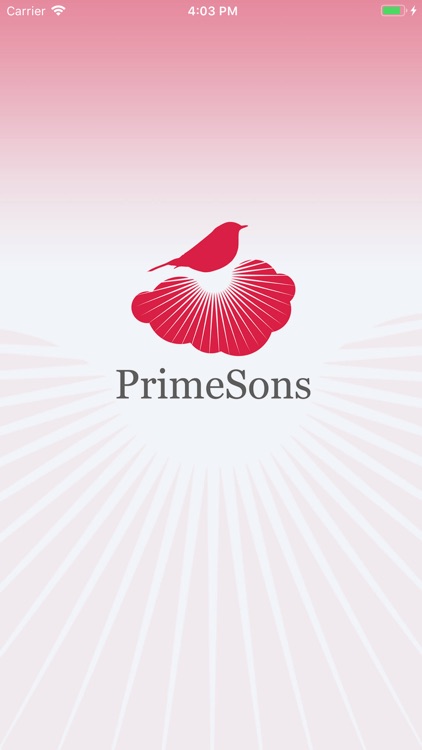 Primesons