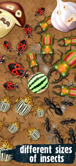 Game screenshot Bug Smasher - Ant Crusher apk
