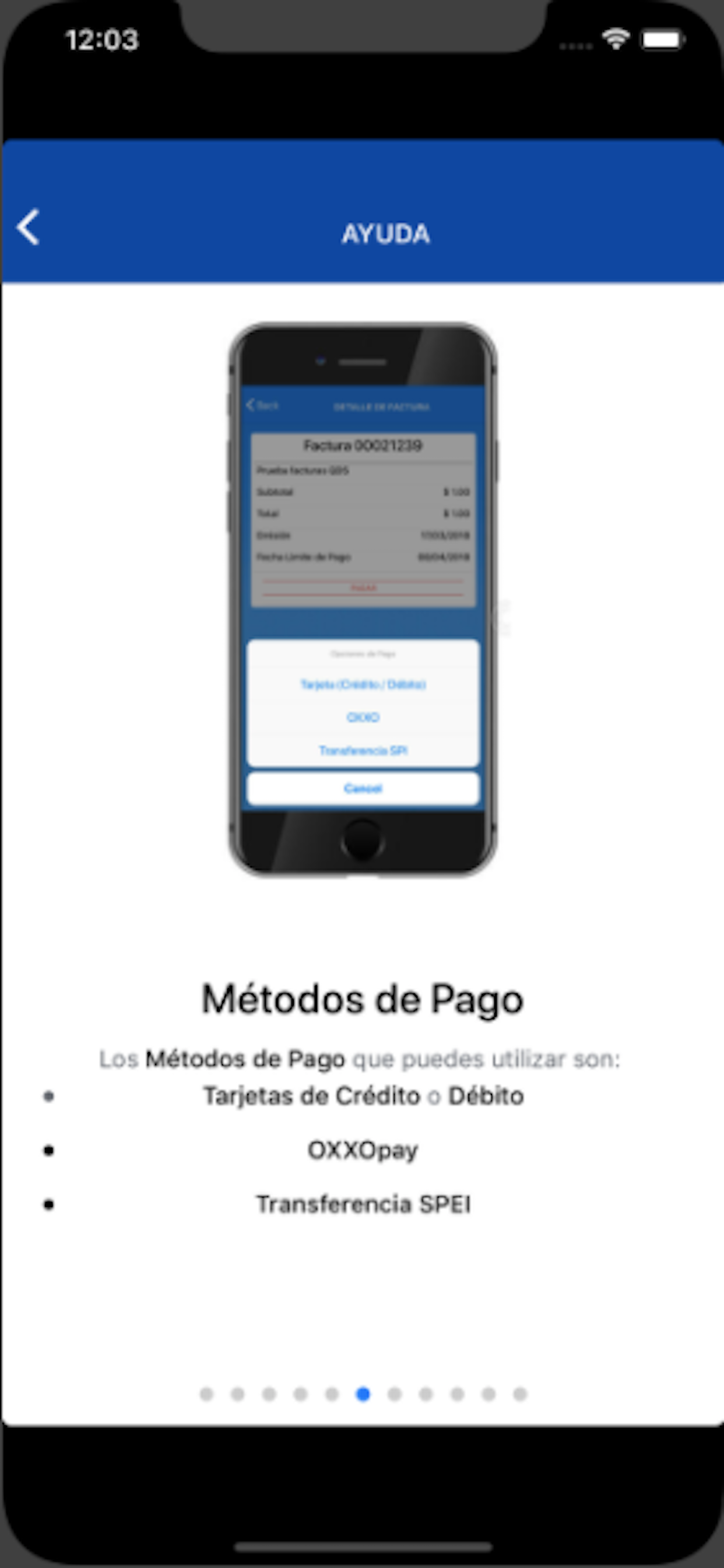 Quadsys Pay screenshot 6