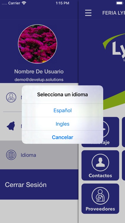 Lyreconvención screenshot-3