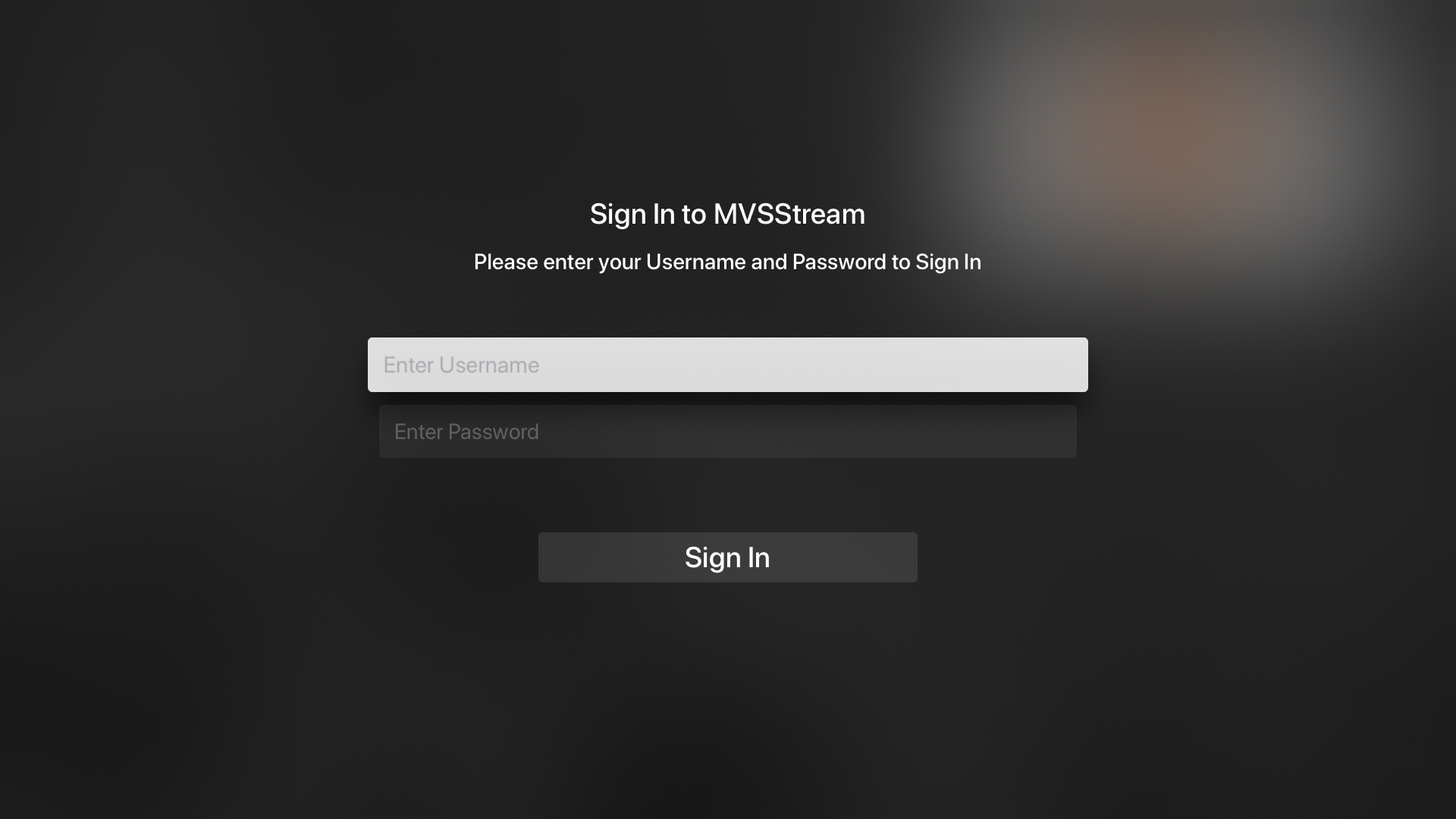 MVSStream screenshot 4